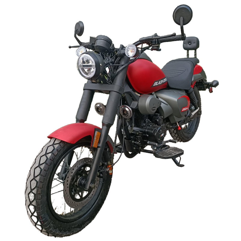 High quality 250cc cruiser motorcycle with cheap prices